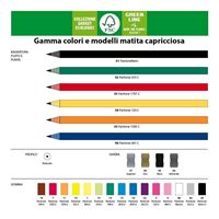 MATITA AFFOGATA NEL COLORE